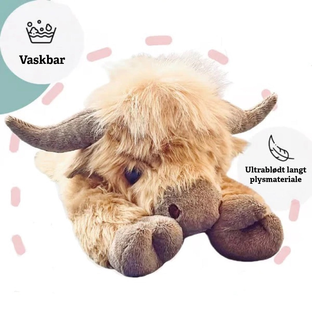 Sød Highland Ko Bamse