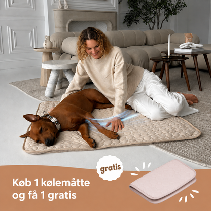 ArcticCloud® - Kølende hundemåtte (1+1 GRATIS)