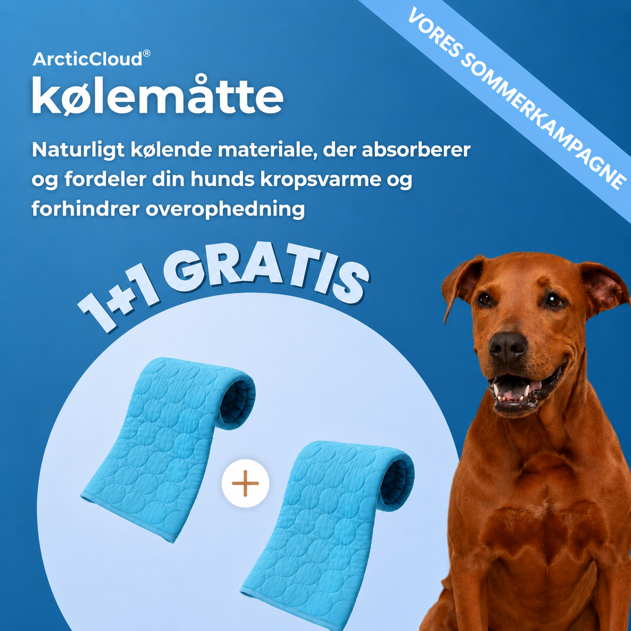 ArcticCloud® - Kølende hundemåtte (1+1 GRATIS)