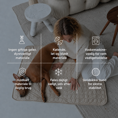 ArcticCloud® - Kølende hundemåtte (1+1 GRATIS)