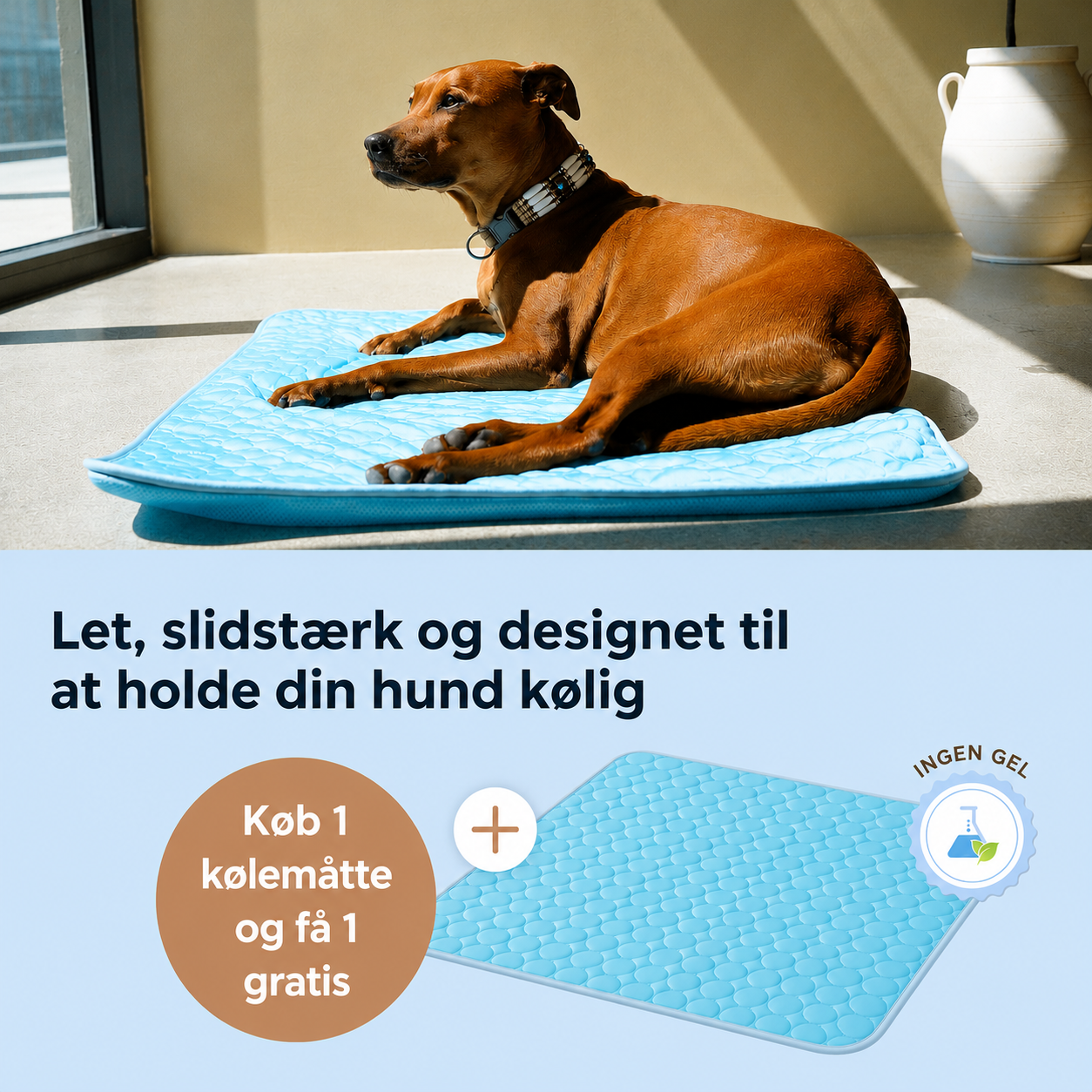 ArcticCloud® - Kølende hundemåtte (1+1 GRATIS)