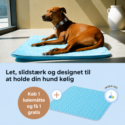 ArcticCloud® - Kølende hundemåtte (1+1 GRATIS)