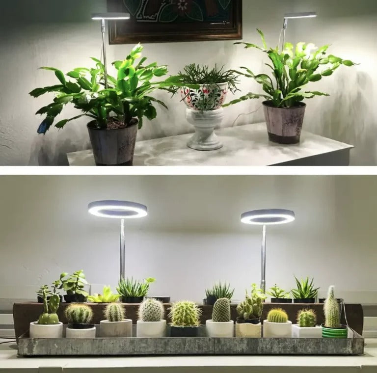 Plantebelysning med fuldt spektrum