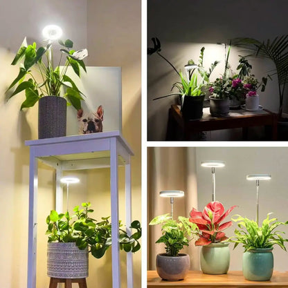 Plantebelysning med fuldt spektrum