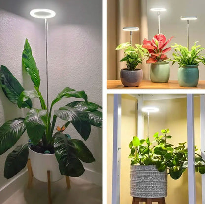 Plantebelysning med fuldt spektrum