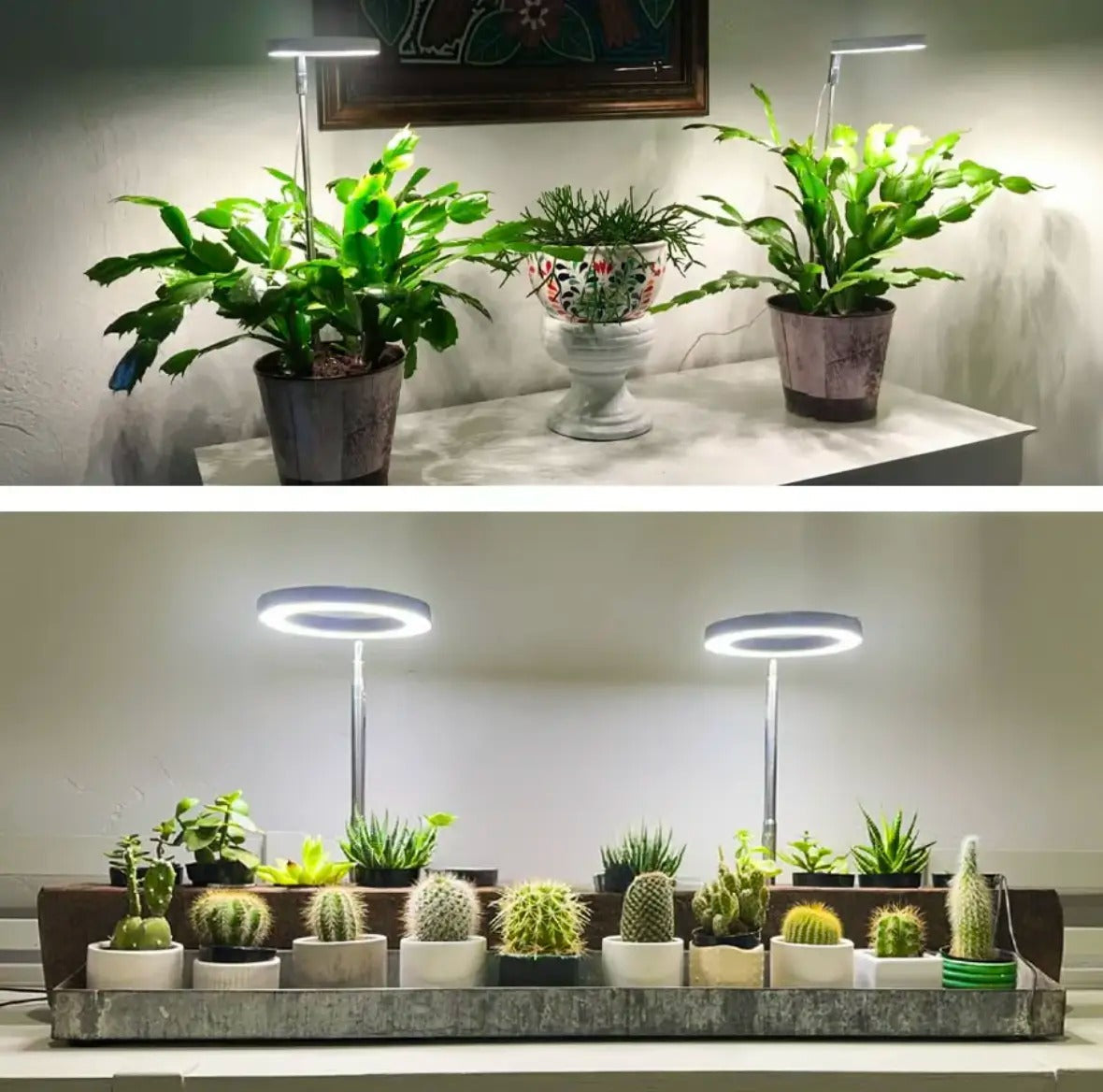 Plantebelysning med fuldt spektrum