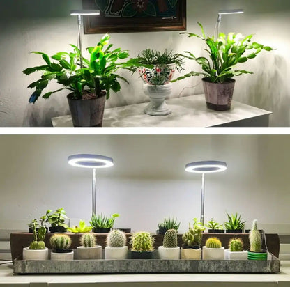 Plantebelysning med fuldt spektrum